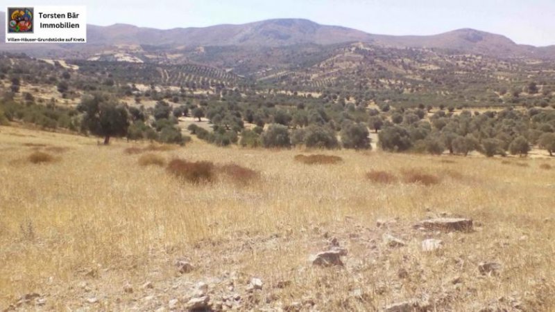 Sivas Kreta, Sivas: Grundstück 17.000 m² in guter Lage Grundstück kaufen